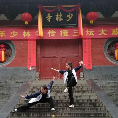 Zhengzhou Private Tour to Shaolin Temple including Kungfu Lesson and Activities