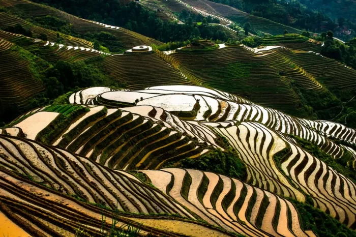 Private Day Tour to Longji Rice Terraces and Long Hair Village from Guilin