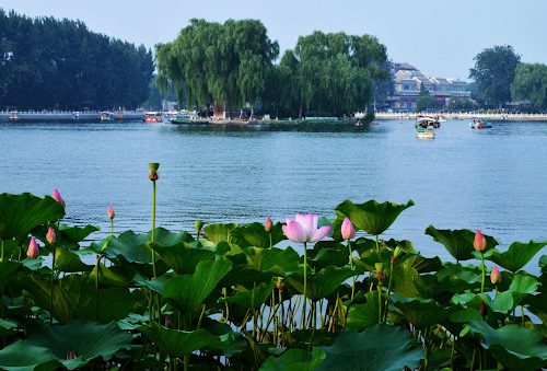 7-Day Private Foodie, Heritage and Culture Tour of Beijing, Xi’an and Chengdu