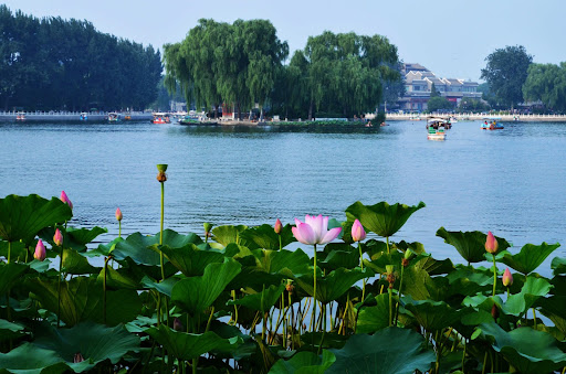 7-Day Private Foodie, Heritage and Culture Tour of Beijing, Xi’an and Chengdu